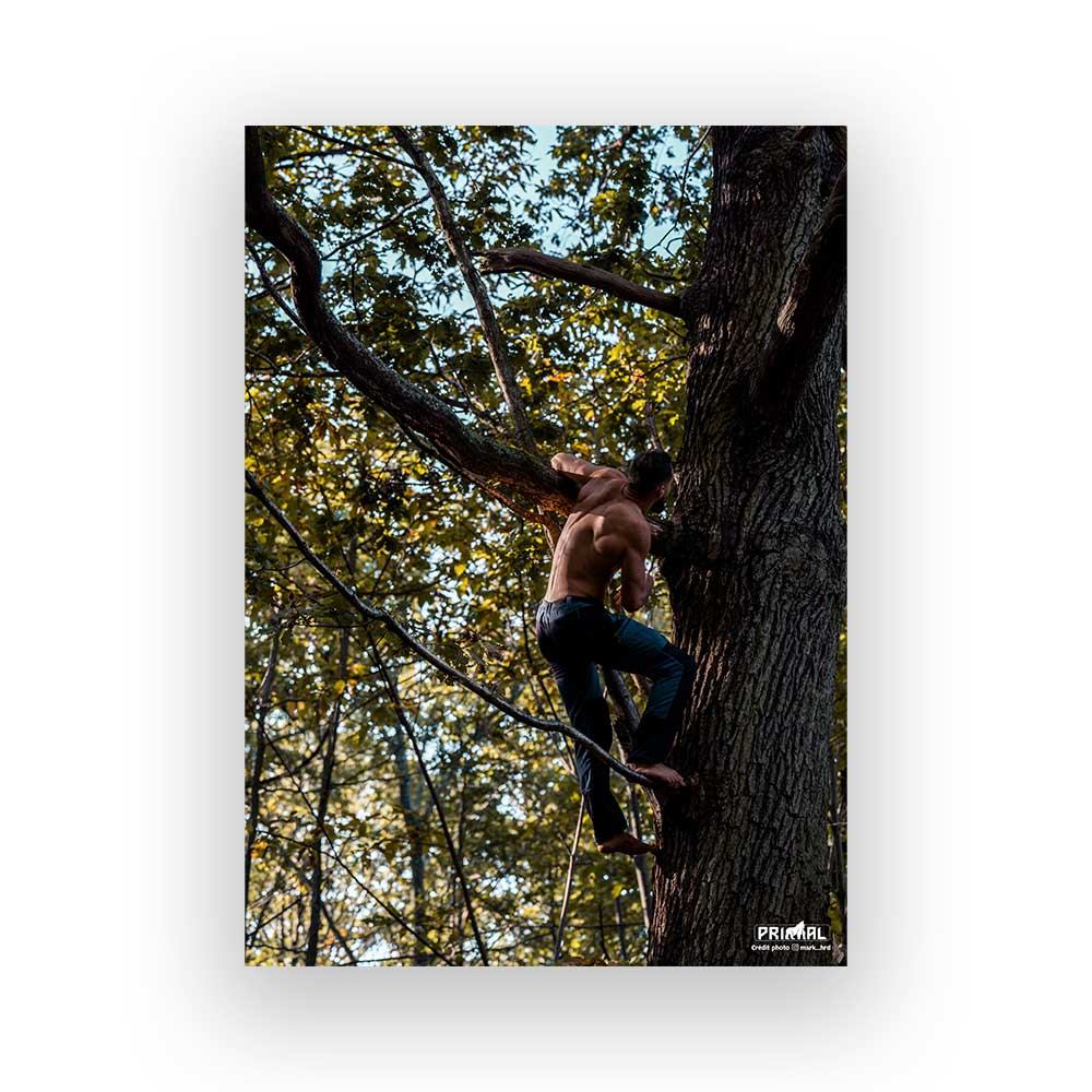 Livret Physique - Initiation au Parkour Primal